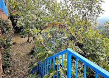 Villa Strada Maddalena, 59 
 Revigliasco, Moncalieri - photo 83