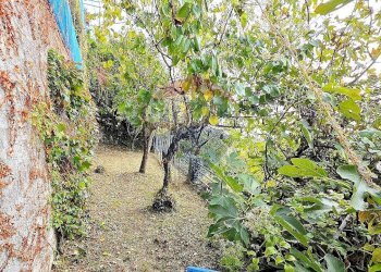 Villa Strada Maddalena, 59 
 Revigliasco, Moncalieri - photo 84