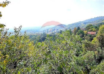 Villa Strada Maddalena, 59 
 Revigliasco, Moncalieri - photo 95