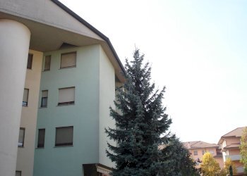 Foto 21 - Trilocale Via Redipuglia
 
20, Canegrate - foto 21