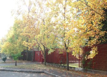 Foto 28 - Trilocale Via Redipuglia
 
20, Canegrate - foto 28