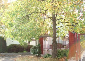 Foto 32 - Trilocale Via Redipuglia
 
20, Canegrate - foto 32