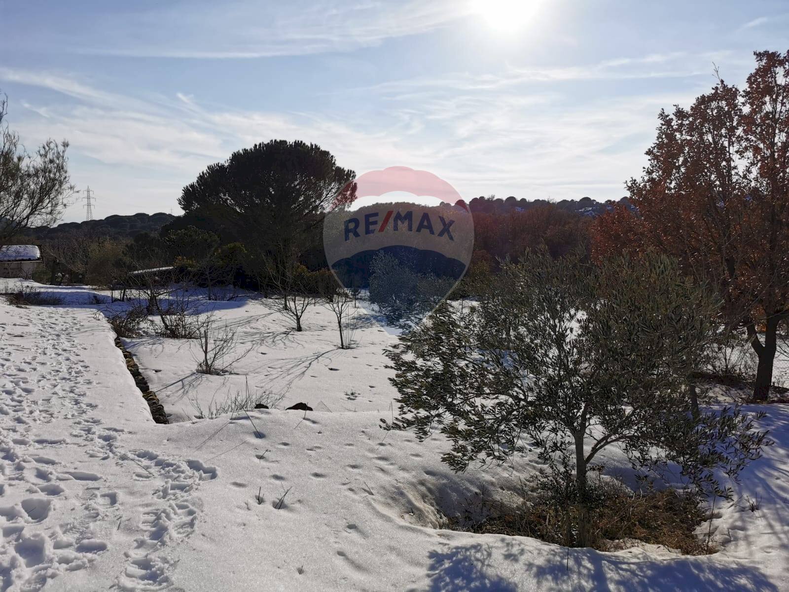 Non correlato - Rustic C.da Serra Pizzuta
 
19, Nicolosi - photo 3