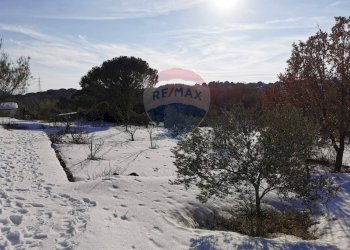 Non correlato - Rustico C.da Serra Pizzuta
 
19, Nicolosi - foto 3