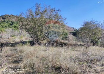 Vista delle montagne - Rustico C.da Serra Pizzuta
 
19, Nicolosi - foto 9