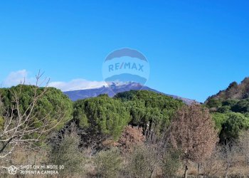 Vista delle montagne - Rustico C.da Serra Pizzuta
 
19, Nicolosi - foto 10