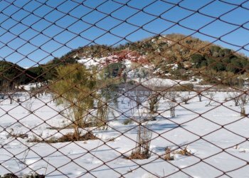 Vista delle montagne - Rustico C.da Serra Pizzuta
 
19, Nicolosi - foto 21