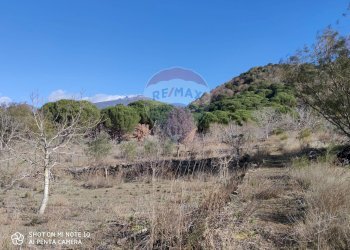 Vista delle montagne - Rustico C.da Serra Pizzuta
 
19, Nicolosi - foto 28