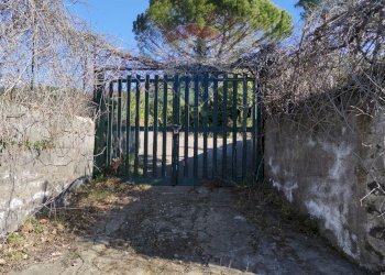 Giardino - Rustico C.da Serra Pizzuta
 
19, Nicolosi - foto 33