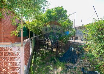 Giardino - Villa Via Tamigi
 
20, Catania - foto 19