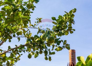 Dettagli - Villa Via Tamigi
 
20, Catania - foto 47