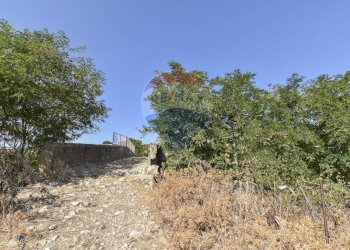 Vista delle montagne - Terreno agricolo Contrada Scardina
 
snc, Augusta - foto 24