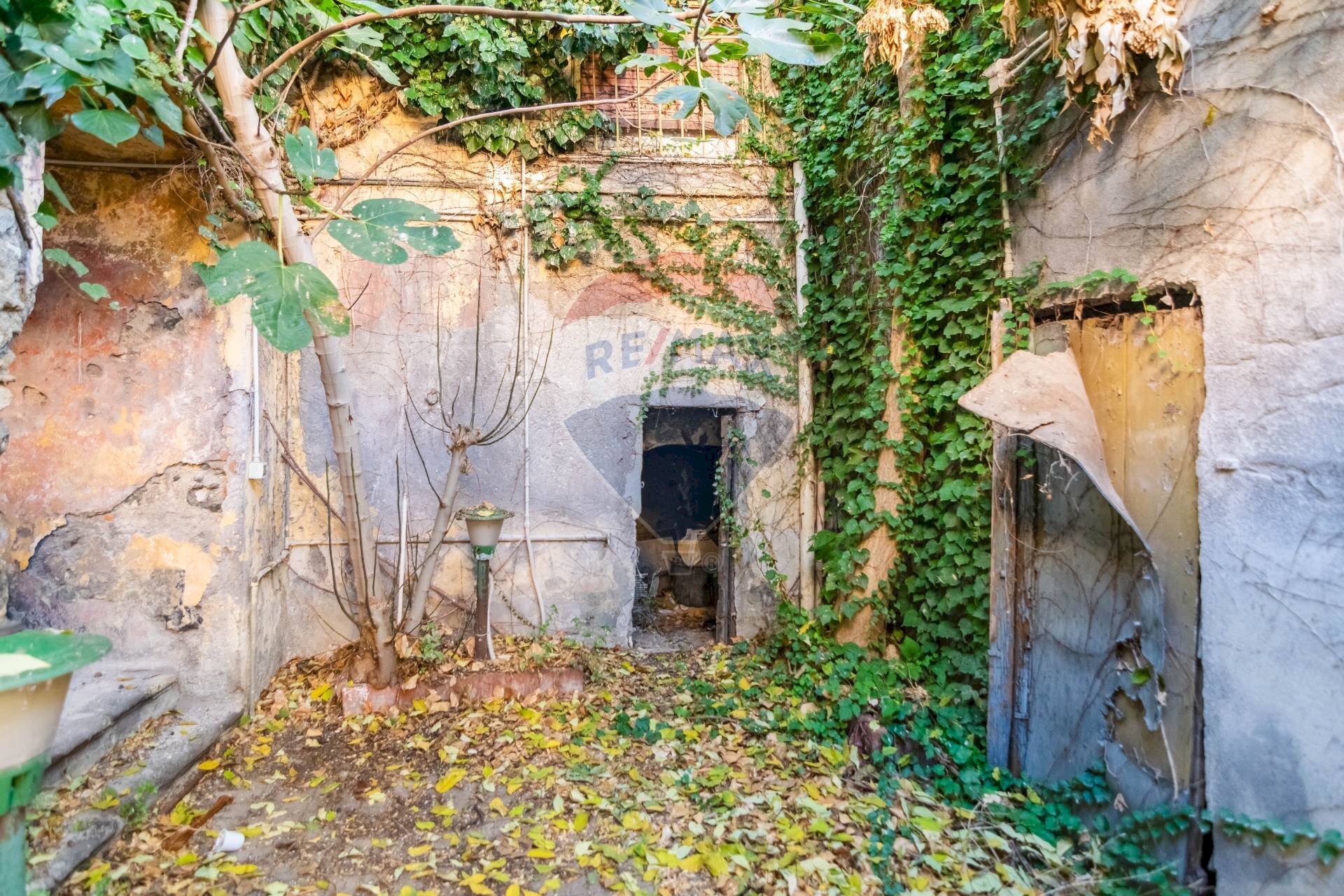 Giardino - Casa indipendente Via Piccione
33, Biancavilla - foto 2