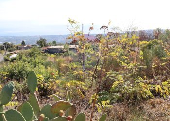 Giardino - Terreno edificabile Via Scorciavacca Montarsi
98, Mascali - foto 20