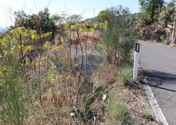 Giardino - Terreno edificabile Via Scorciavacca Montarsi
98, Mascali - foto 22