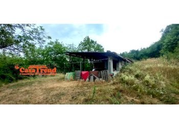 Independent house Rivalba - photo 23