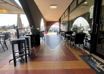 Terrazza - Bar Tavola Calda - Fredda Vigonza - foto 4