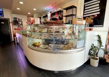 Cucina - Bar Tavola Calda - Fredda Vigonza - foto 11