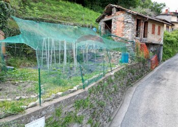 Casa all\'aperto - Rustico Via Vianelle
 
1, Massino Visconti - foto 6