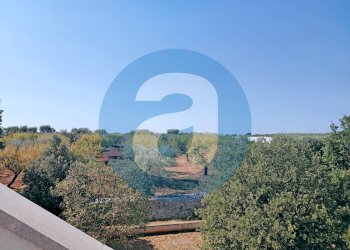 Foto 20 - Villa Strada comunale Parco Balistris, Polignano a Mare - foto 20