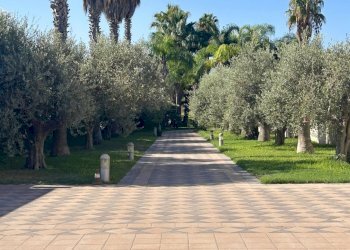 Foto 101 - Villa Mazara del Vallo - foto 101