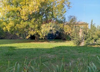 Giardino - Villa Ostiglia - foto 23