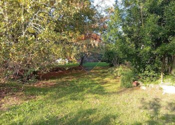 Giardino - Villa Ostiglia - foto 25