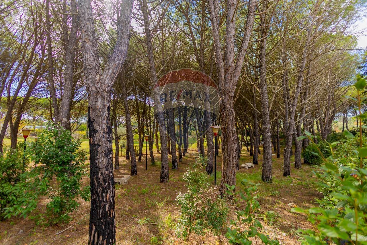 Giardino - Villa Via San Domenico
 
4/A, Martina Franca - photo 3