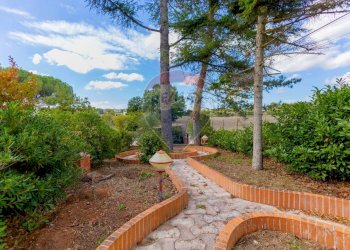 Giardino - Villa Via San Domenico
 
4/A, Martina Franca - foto 30