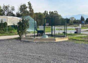 Terreno - Casa indipendente via Cuneo, 88, Mondovì - foto 26