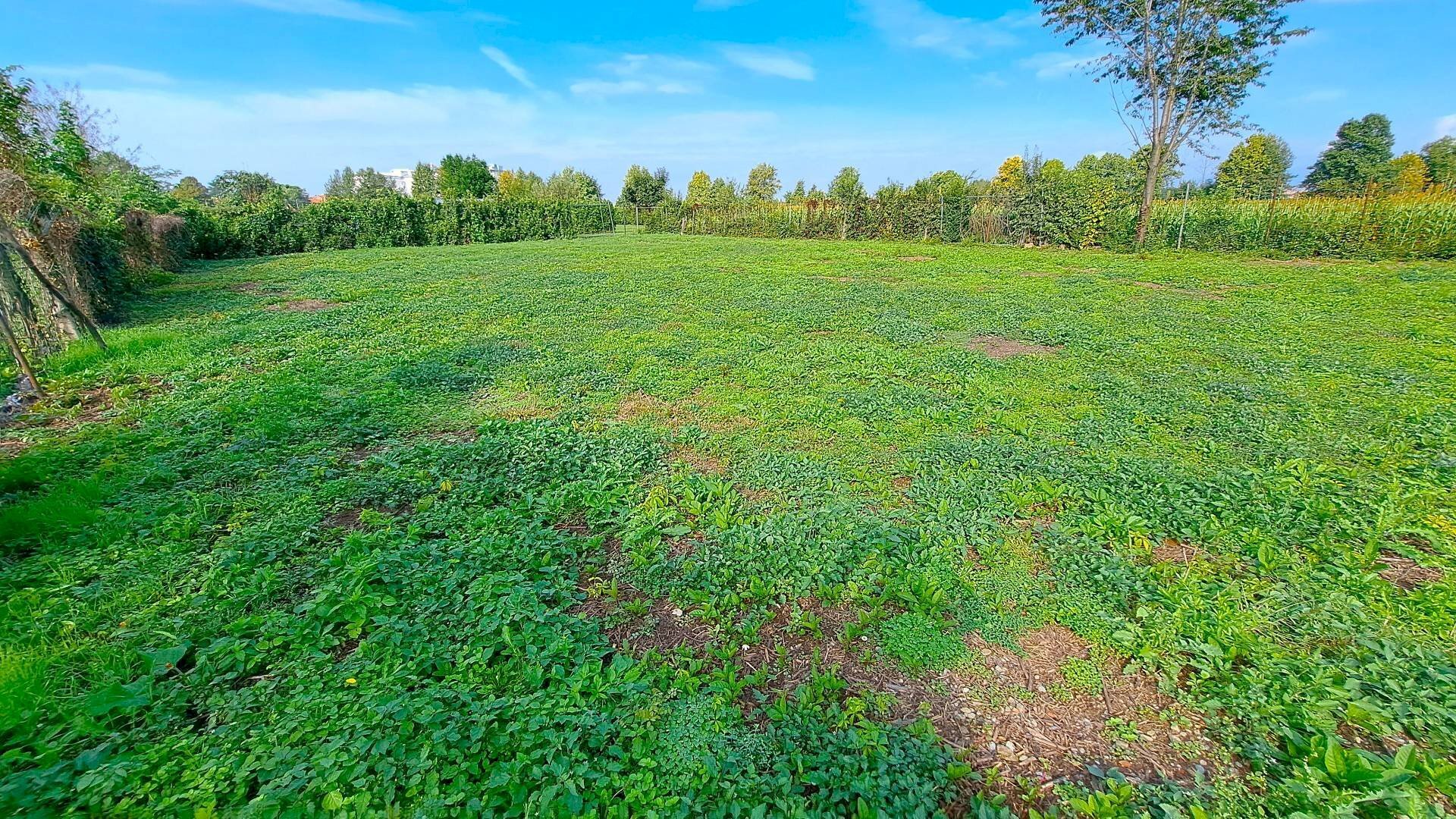 Foto 2 - Terreno agricolo Via Alessandro Volta
snc, Osio Sotto - foto 2