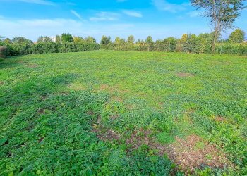 Foto 2 - Terreno agricolo Via Alessandro Volta
snc, Osio Sotto - foto 2