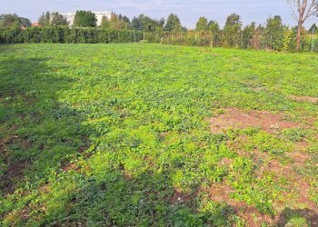 Foto 3 - Terreno agricolo Via Alessandro Volta
snc, Osio Sotto - foto 3