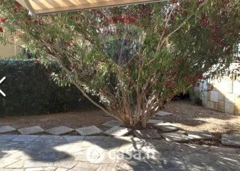 Terrazza - Monolocale Santo Stefano al Mare - foto 9