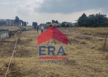 Foto 9 - Terreno edificabile Via Di Casalotti
 
snc, Roma - foto 9