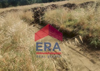 Foto 18 - Terreno edificabile Via Di Casalotti
 
snc, Roma - foto 18