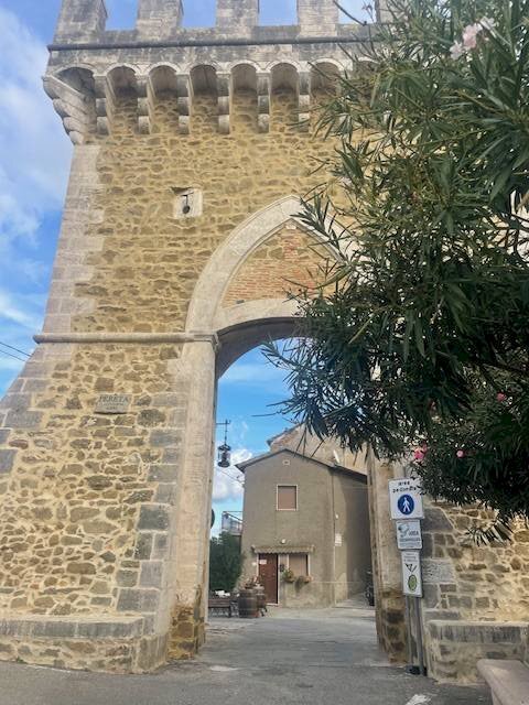 Foto 2 - Cantina / Solaio via amiatina pereta, Magliano in Toscana - foto 2