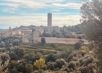 Foto 16 - Cantina / Solaio via amiatina pereta, Magliano in Toscana - foto 16