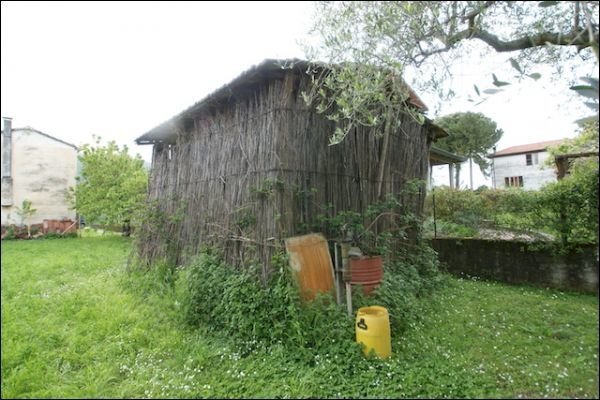 MANUFATTO - Agricultural land Ameglia - photo 3