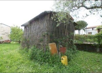 MANUFATTO - Terreno agricolo Ameglia - foto 3