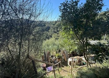 16_giardino.jpeg - Villa Celle Ligure - foto 16