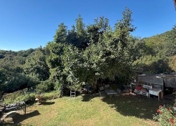 giardino - Villa Celle Ligure - foto 18