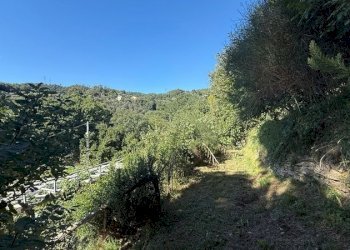 fasce - Villa Celle Ligure - foto 19