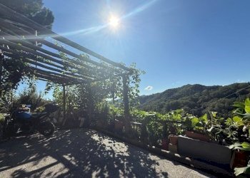 giardino - Villa Celle Ligure - foto 20