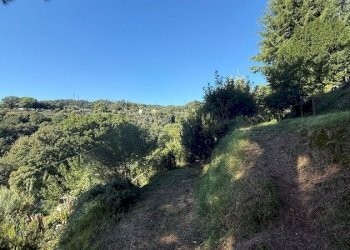 orto - Villa Celle Ligure - foto 21