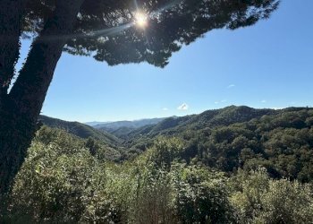 vista - Villa Celle Ligure - foto 22