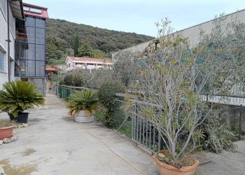 WhatsApp Image 2025-10-03 at 10.13.28 (8).jpeg - Locale Commerciale Via Rimembranze, Amelia - foto 9