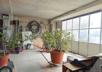 WhatsApp Image 2025-10-03 at 10.13.29 (3).jpeg - Locale Commerciale Via Rimembranze, Amelia - foto 14