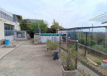 WhatsApp Image 2025-10-03 at 10.13.30 (4).jpeg - Locale Commerciale Via Rimembranze, Amelia - foto 22