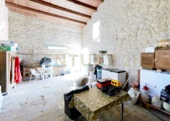 asino-13-Crocevia-Cava-Ispica-Other.jpg - Casale Via Passo Parrino 19, Modica - foto 30